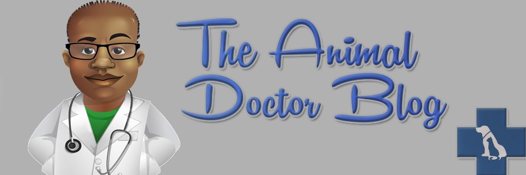 The Animal Doctor Blog